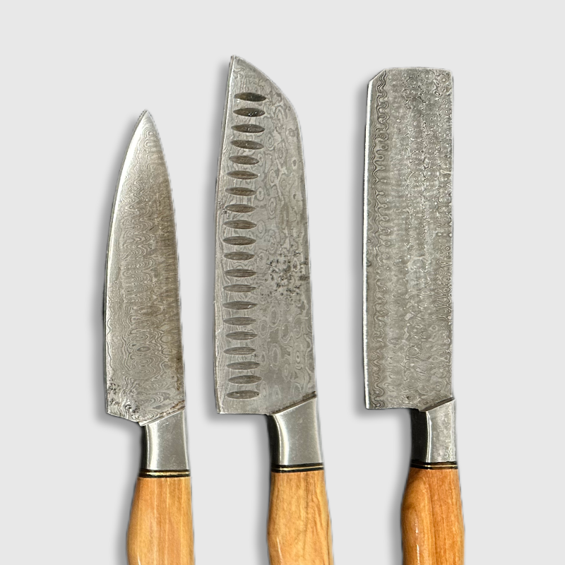 Premium Damascus Steel Kitchen Knife Set with Leather Roll - Wildland Blades