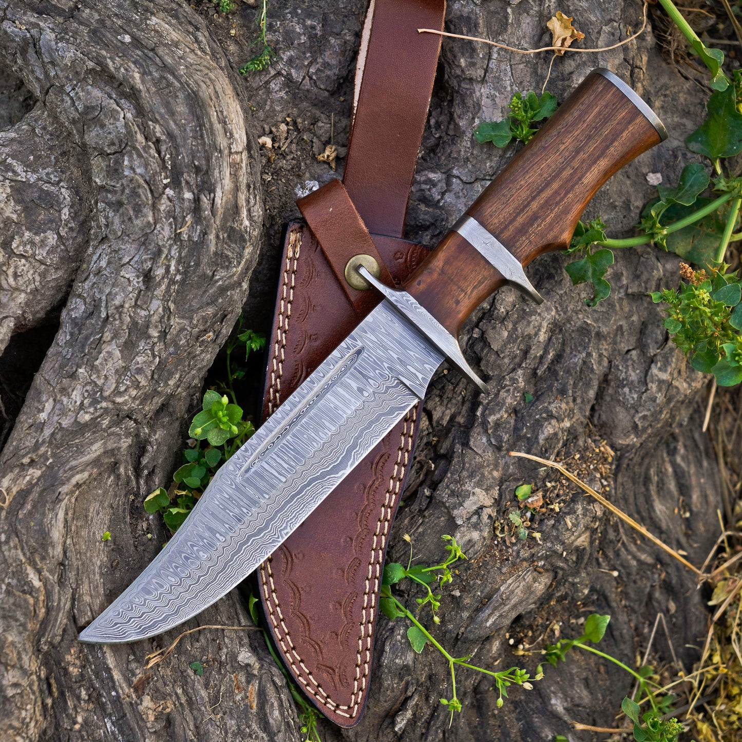 The Highlander: Hand-Forged Damascus Steel Bowie with Rosewood Handle - Wildland Blades
