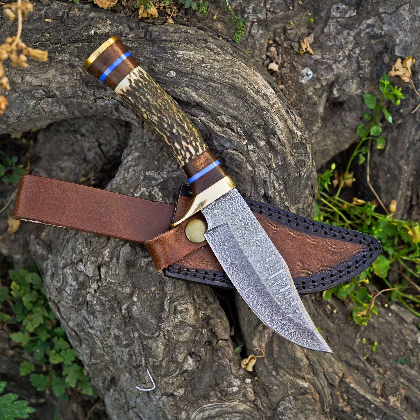 The Antler's Edge: Hand-Forged Damascus Steel Knife with Stag & Brass Guard Handle - Wildland Blades