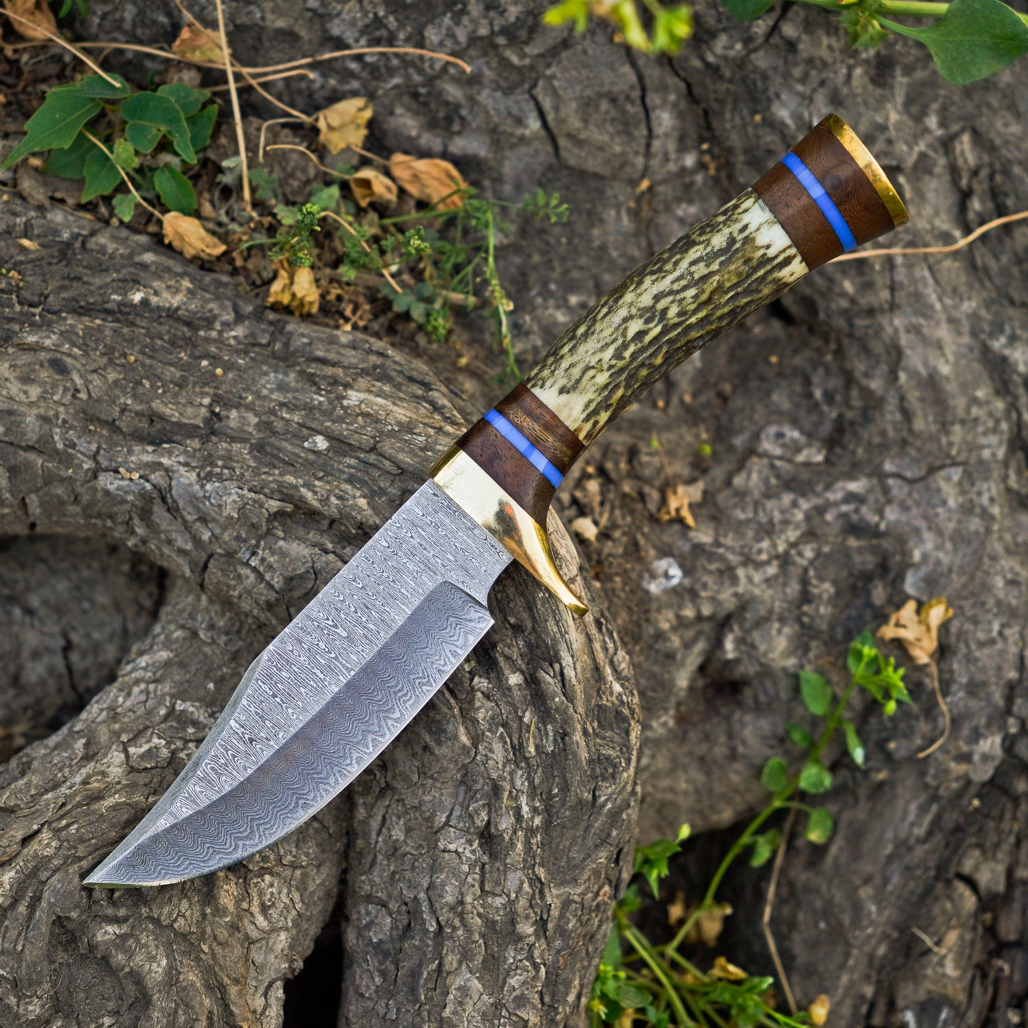 The Antler's Edge: Hand-Forged Damascus Steel Knife with Stag & Brass Guard Handle - Wildland Blades