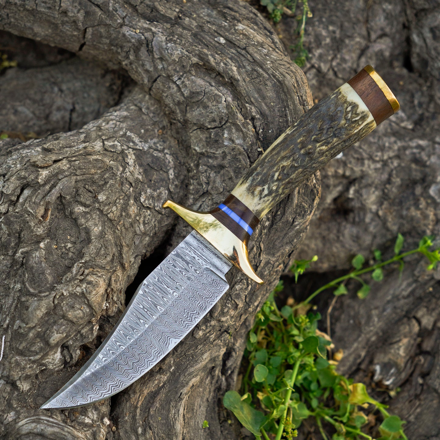 The Stag Spirit: Hand-Forged Damascus Steel Knife with Stag & Brass Guard Handle - Wildland Blades