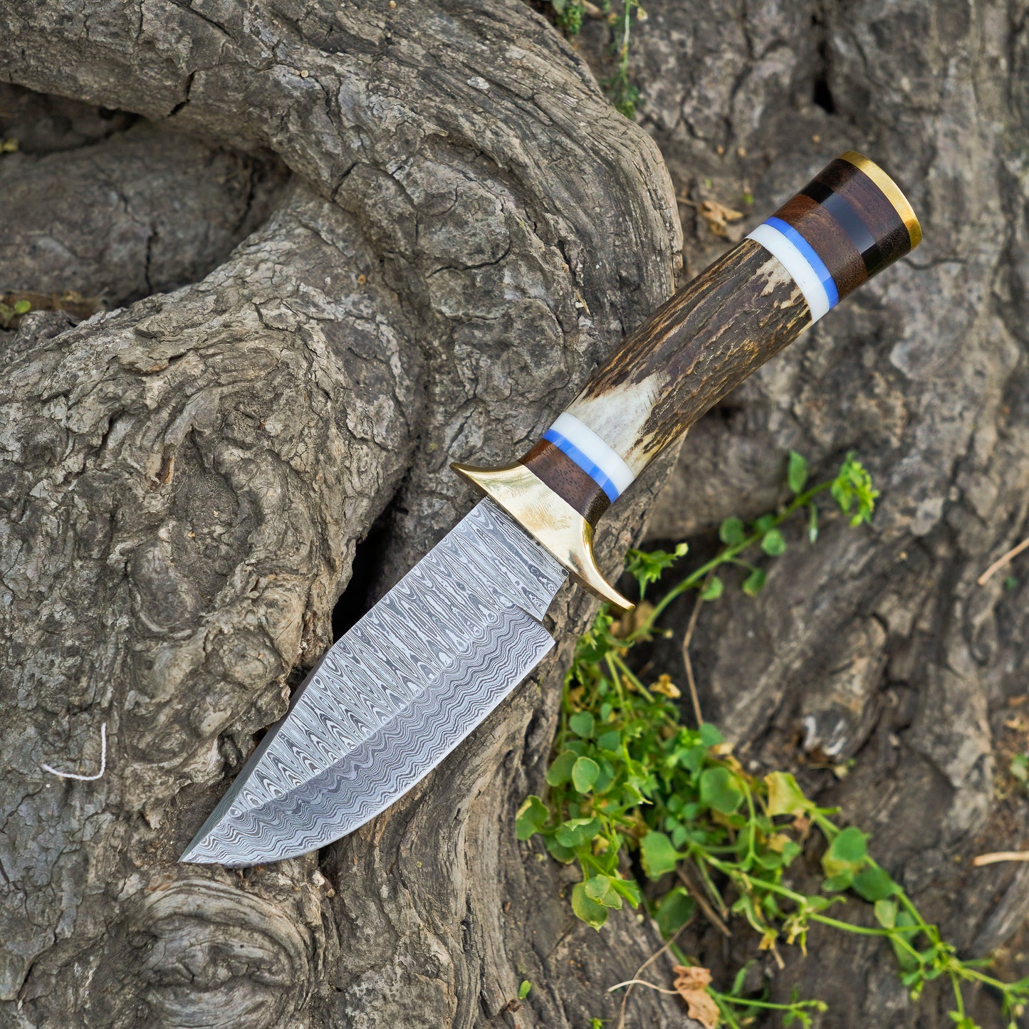 The Woodland Warrior: Hand-Forged Damascus Steel Knife with Stag Handle - Wildland Blades