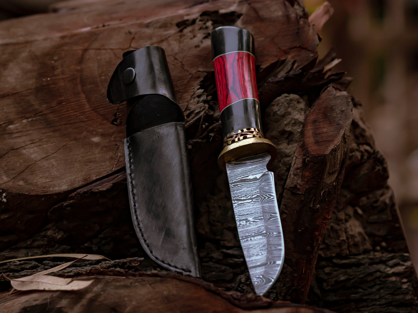The Red Viper: Damascus Steel Fixed Blade Knife with Ebony and Red Wood Handle - Wildland Blades