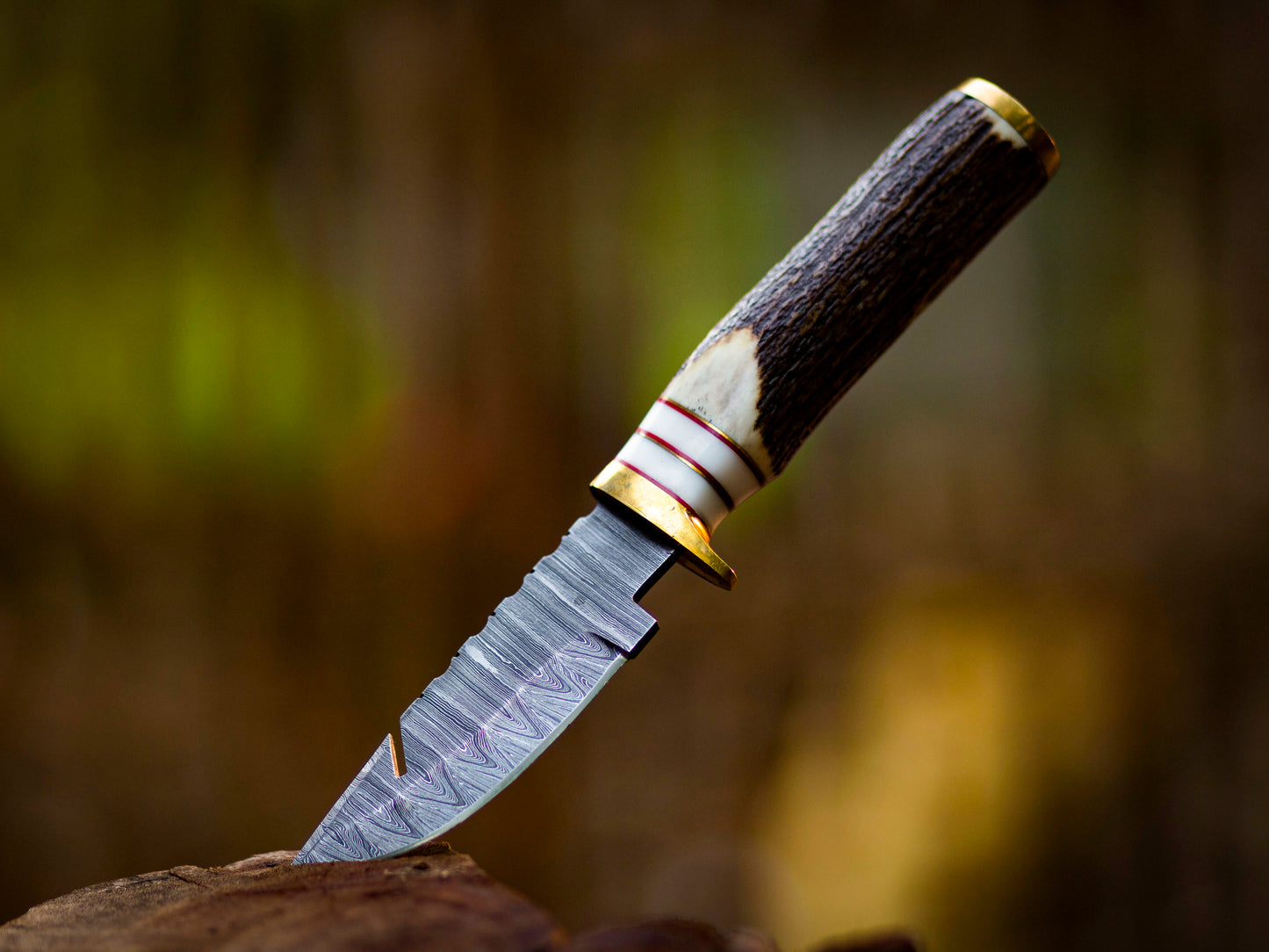 8″ Damascus Hooked Camping Knife with Stag Horn Handle