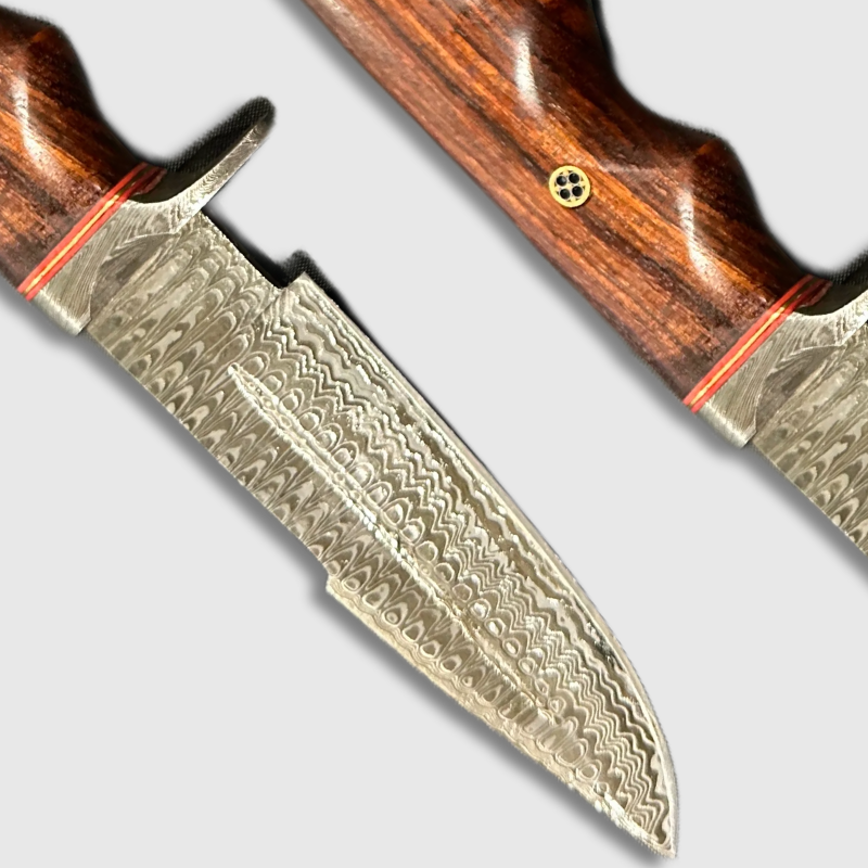 Hand-Forged 10-Inch Damascus Steel Fixed Blade Survival Knife - Wildland Blades
