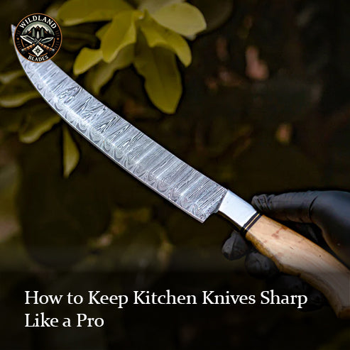 How to Keep Kitchen Knives Sharp Like a Pro