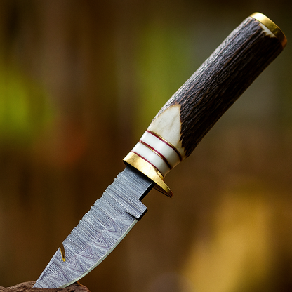 8″ Damascus Hooked Camping Knife with Durable Stag Horn Handle