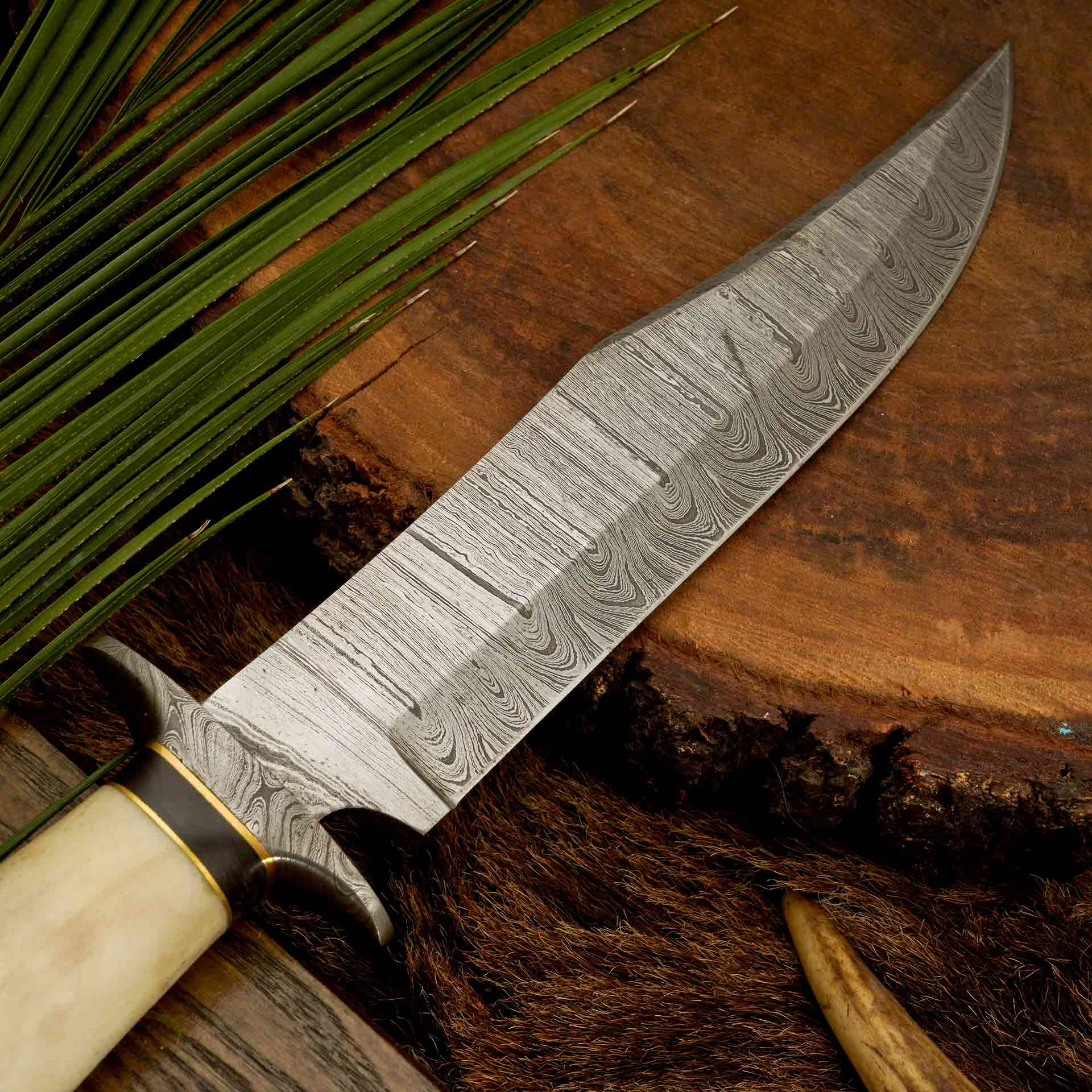 The Hornet's Strike - Bone Handle Knife with Brass Guard