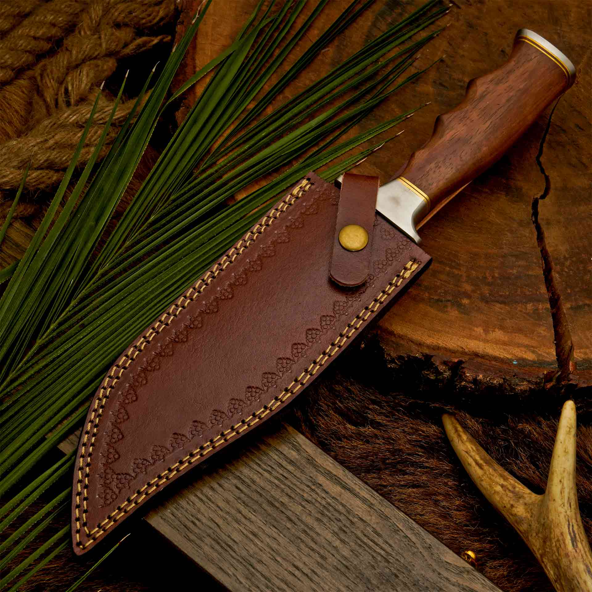 The Wolf’s Claw | D2 Steel Bowie with Sculpted Wood Handle