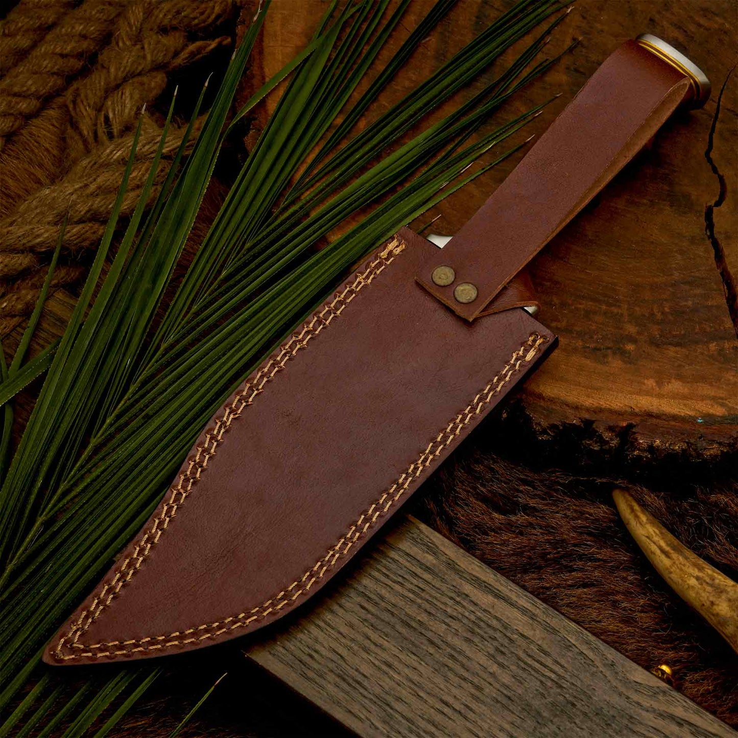 The Wolf’s Claw | D2 Steel Bowie with Sculpted Wood Handle