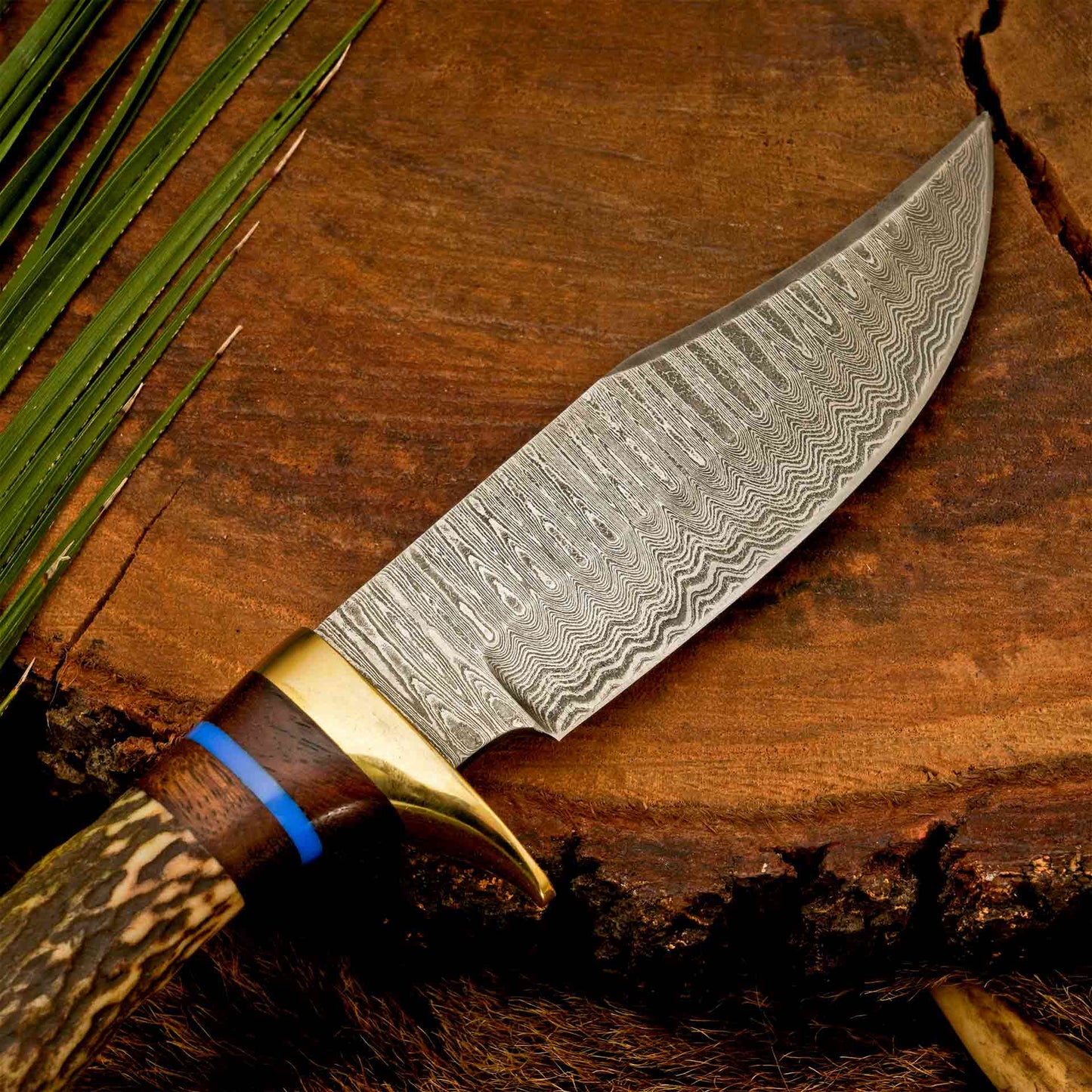 The Antler’s Edge – Stag Handle Knife with Brass Guard