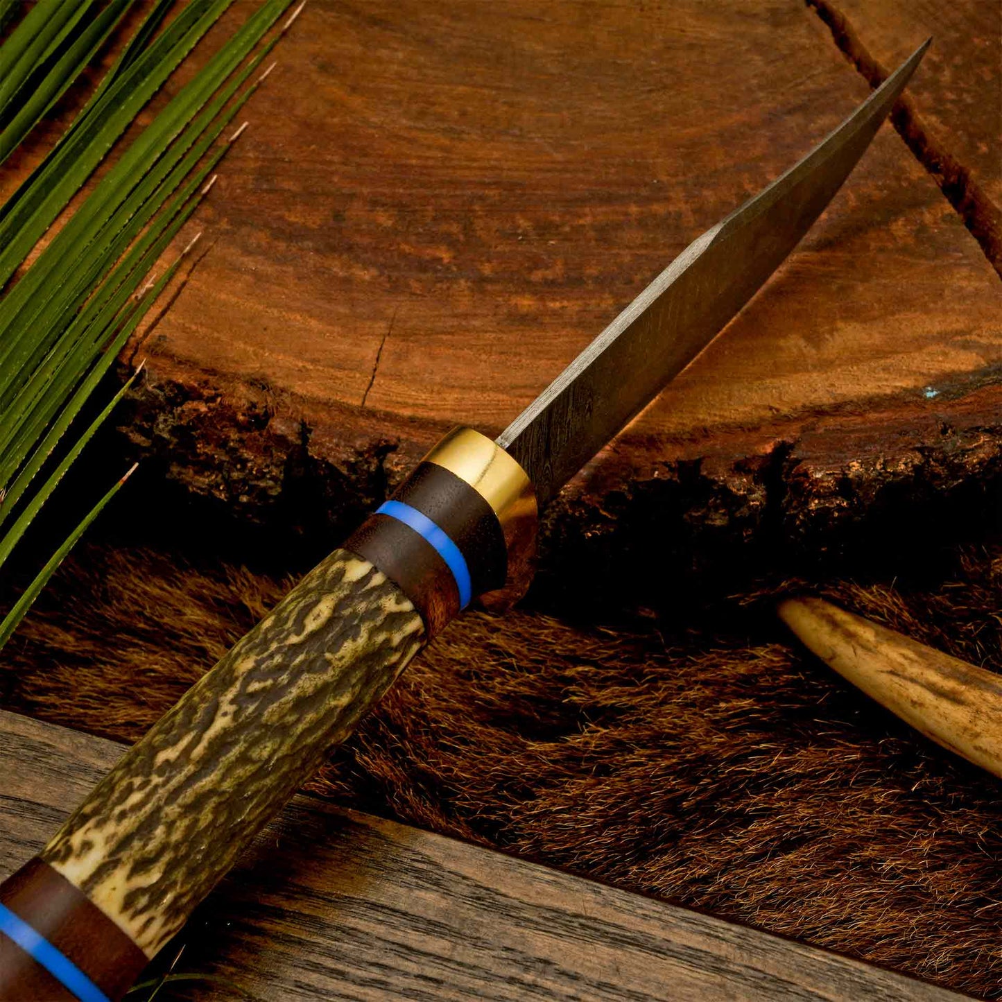 The Antler’s Edge – Stag Handle Knife with Brass Guard