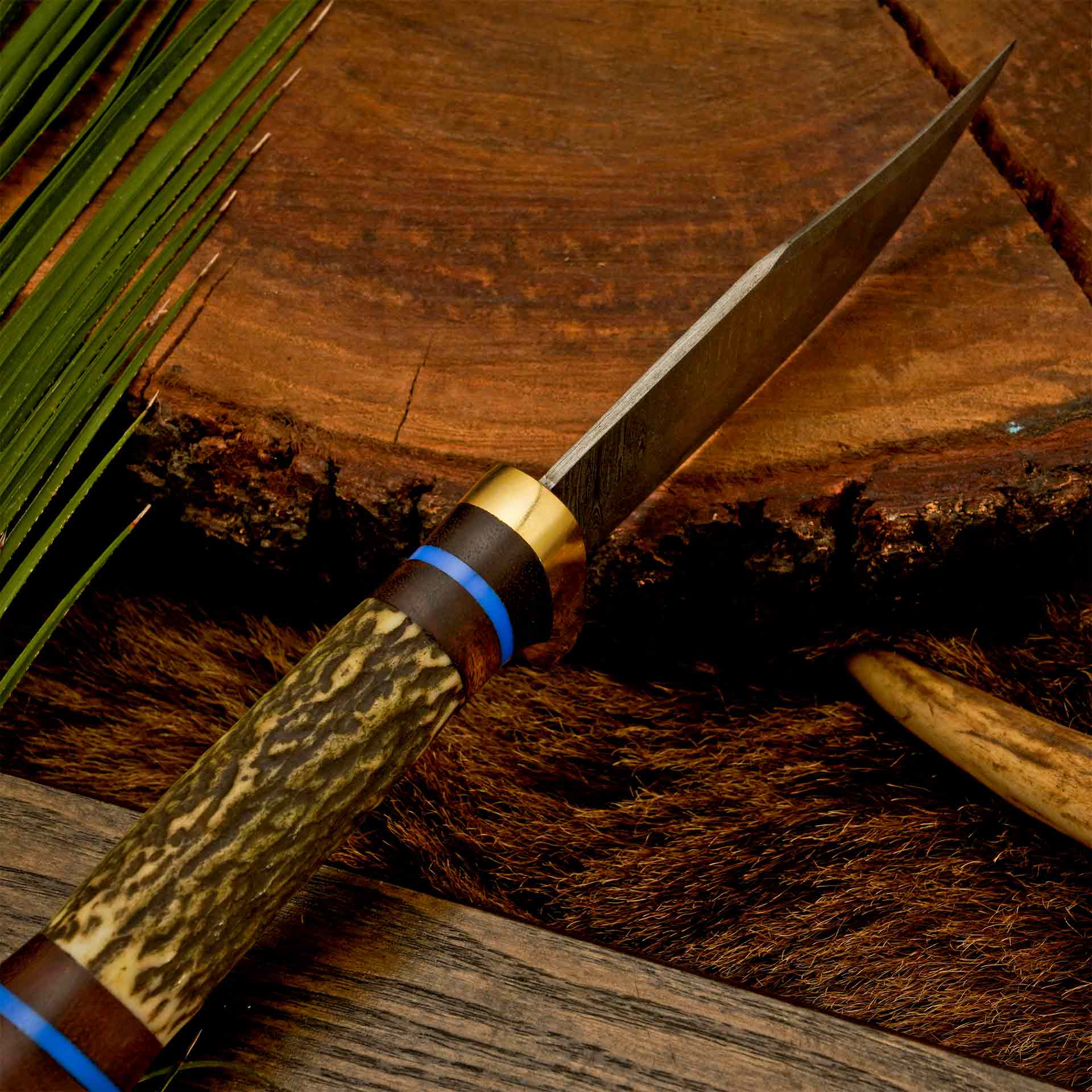 The Antler’s Edge – Stag Handle Knife with Brass Guard