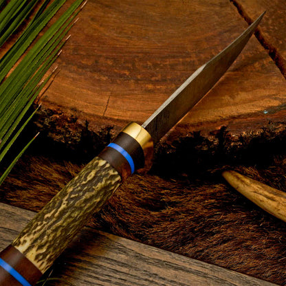 The Antler’s Edge – Stag Handle Knife with Brass Guard