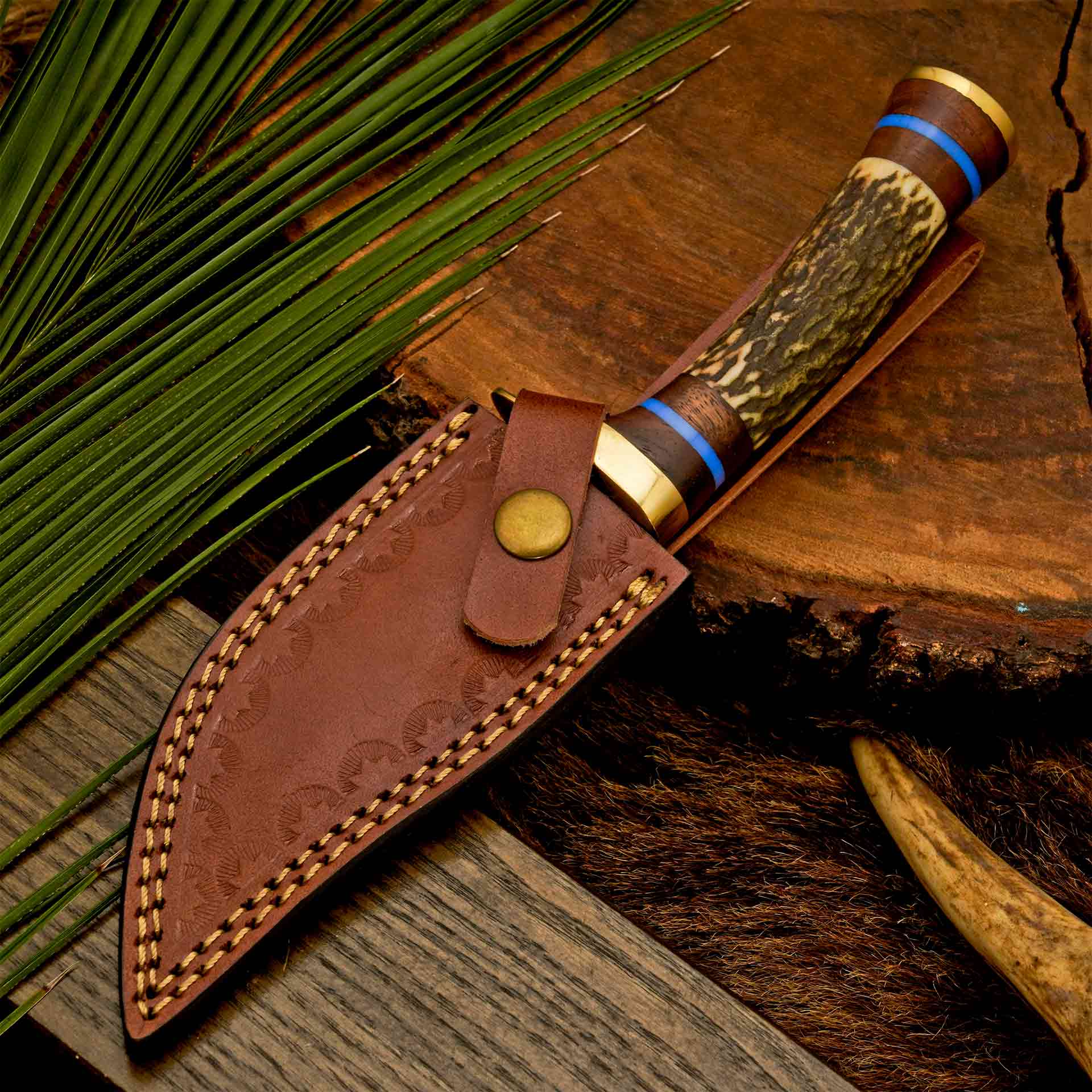 The Antler’s Edge – Stag Handle Knife with Brass Guard