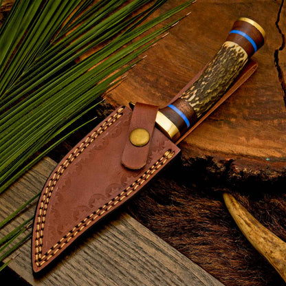 The Antler’s Edge – Stag Handle Knife with Brass Guard