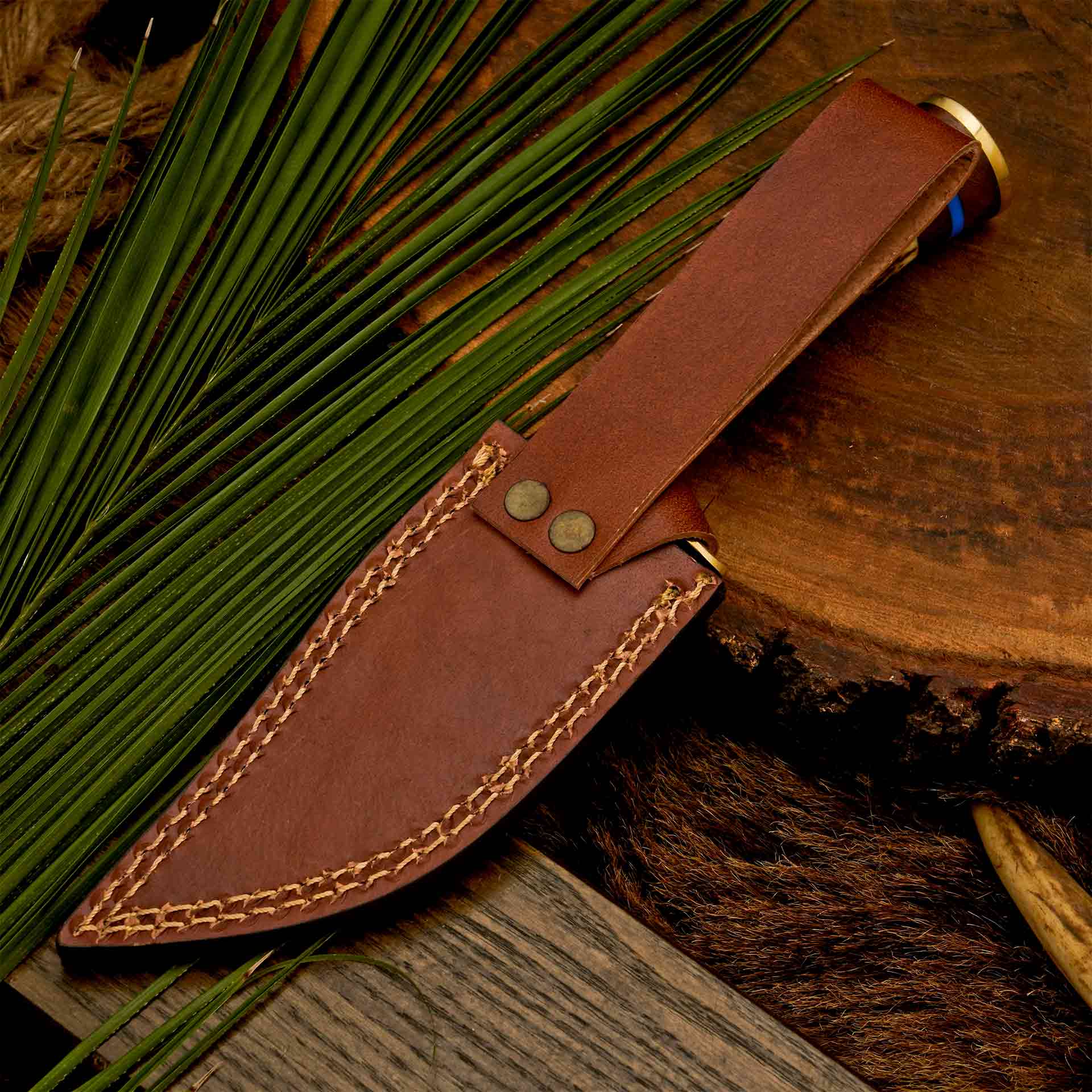 The Antler’s Edge – Stag Handle Knife with Brass Guard