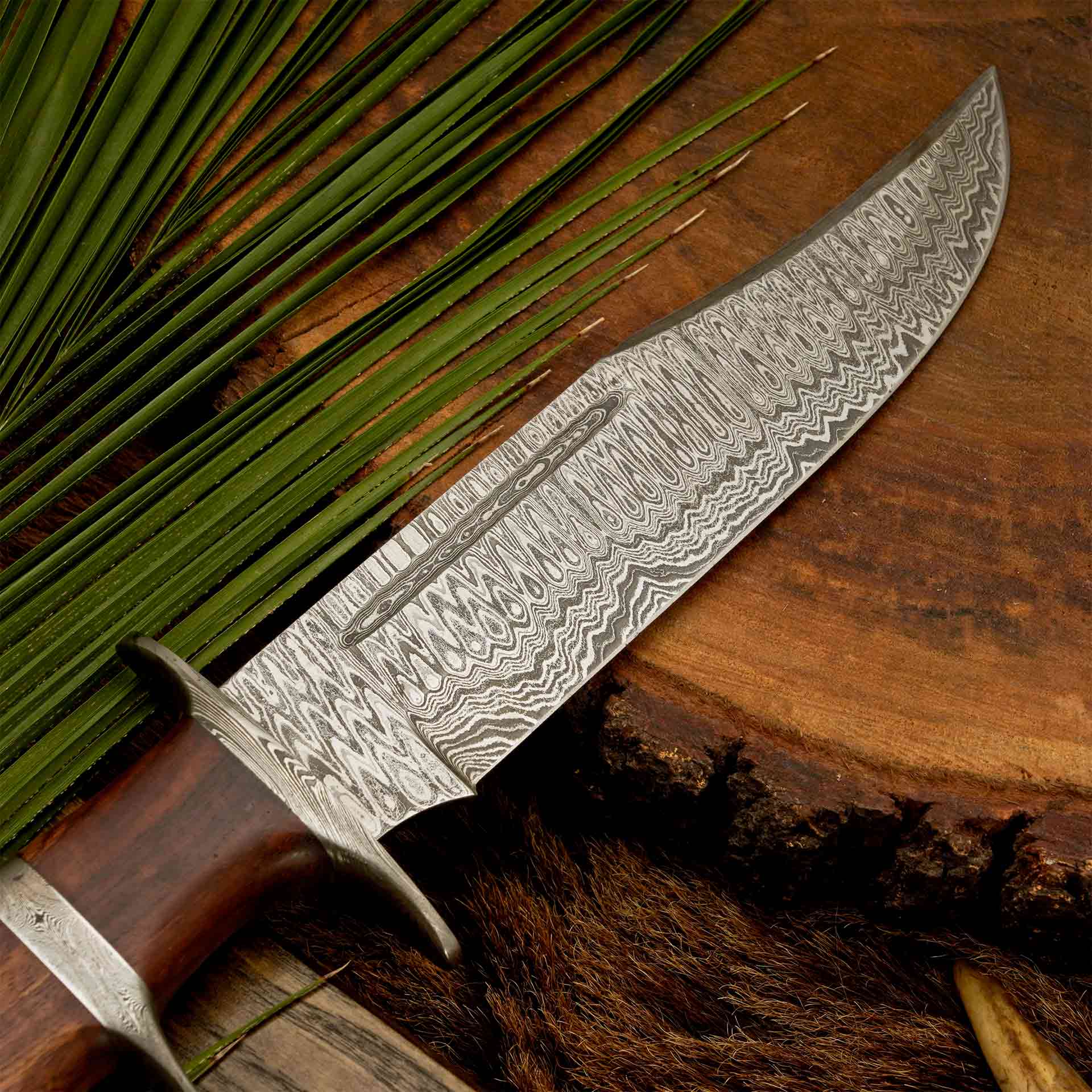 The Highlander | Rosewood Handle Bowie Knife for Hunting & Survival