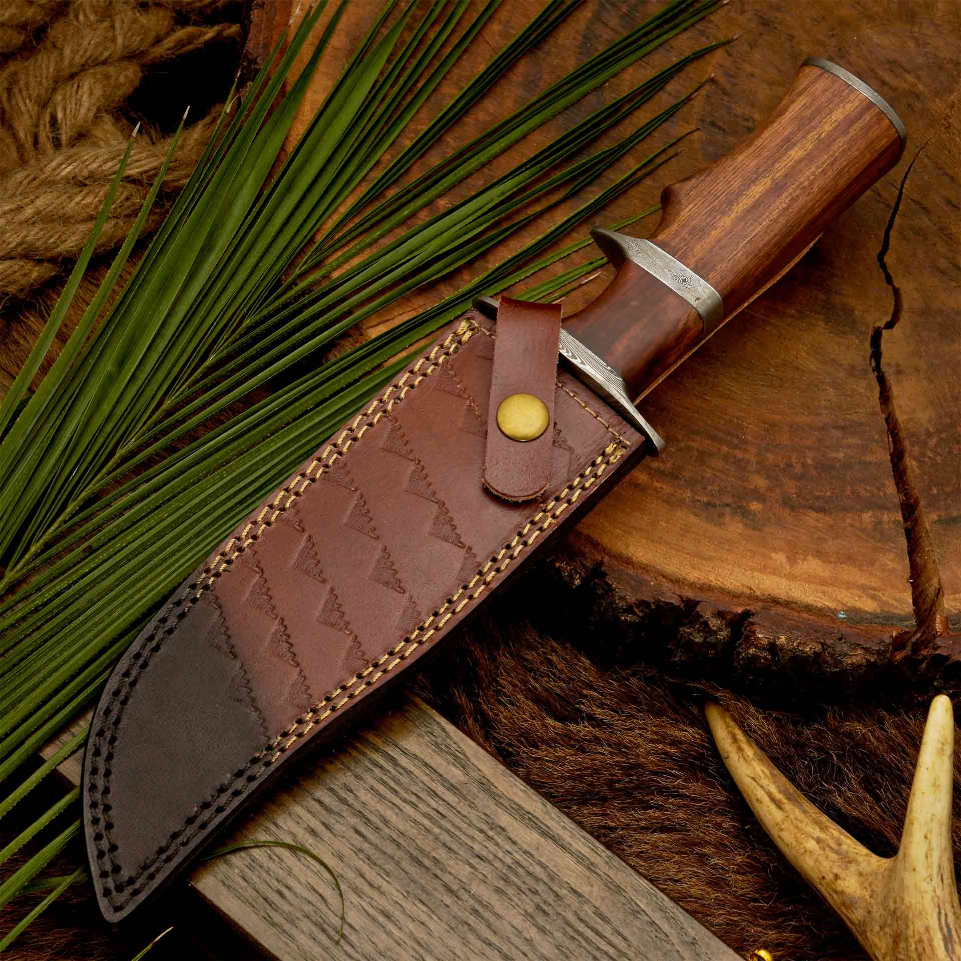 The Highlander | Rosewood Handle Bowie Knife for Hunting & Survival