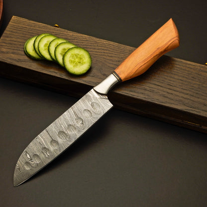 Premium Damascus Steel Kitchen Knife Set with Leather Roll Case - Wildland Blades