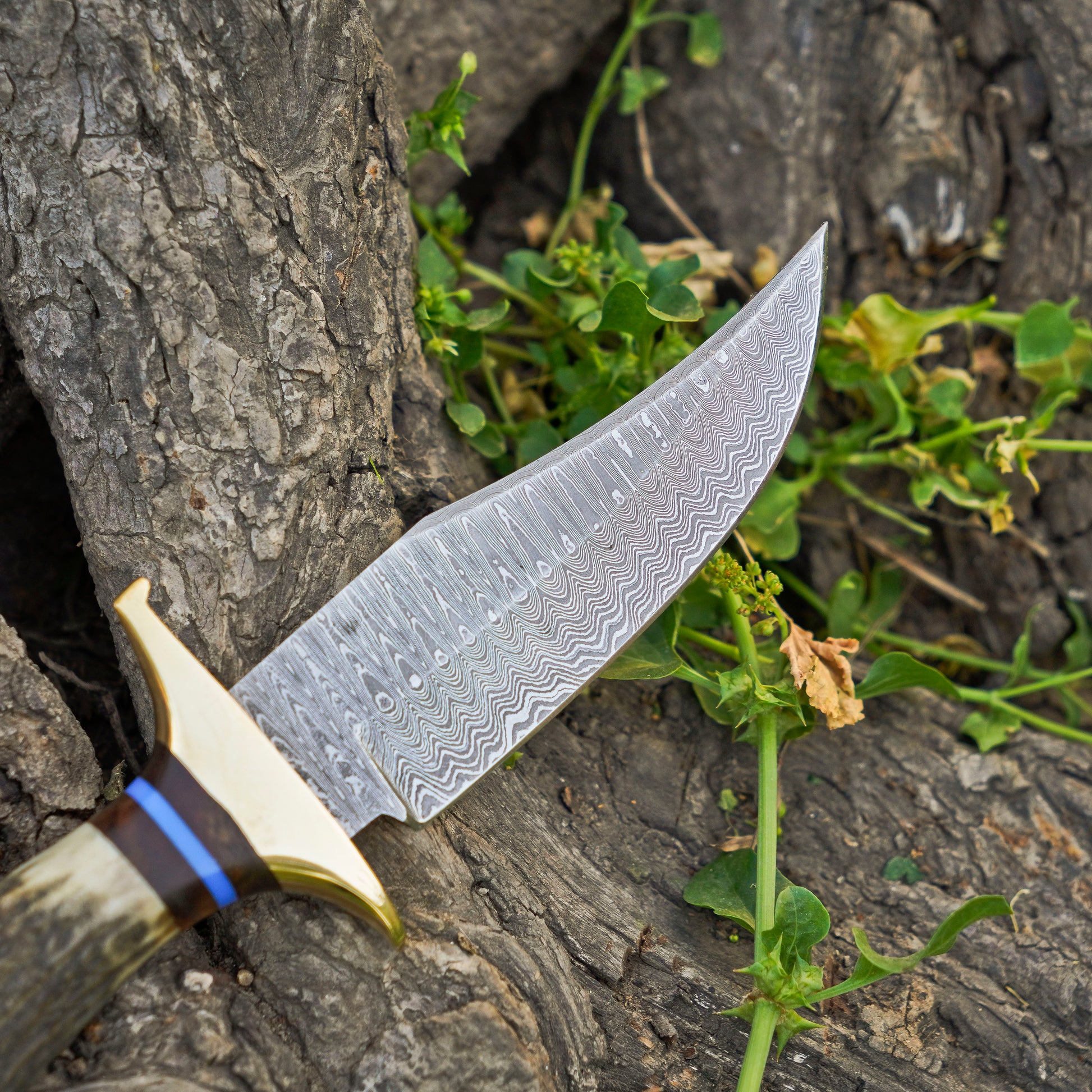 The Stag Spirit: Hand-Forged Damascus Steel Knife with Stag & Brass Guard Handle - Wildland Blades
