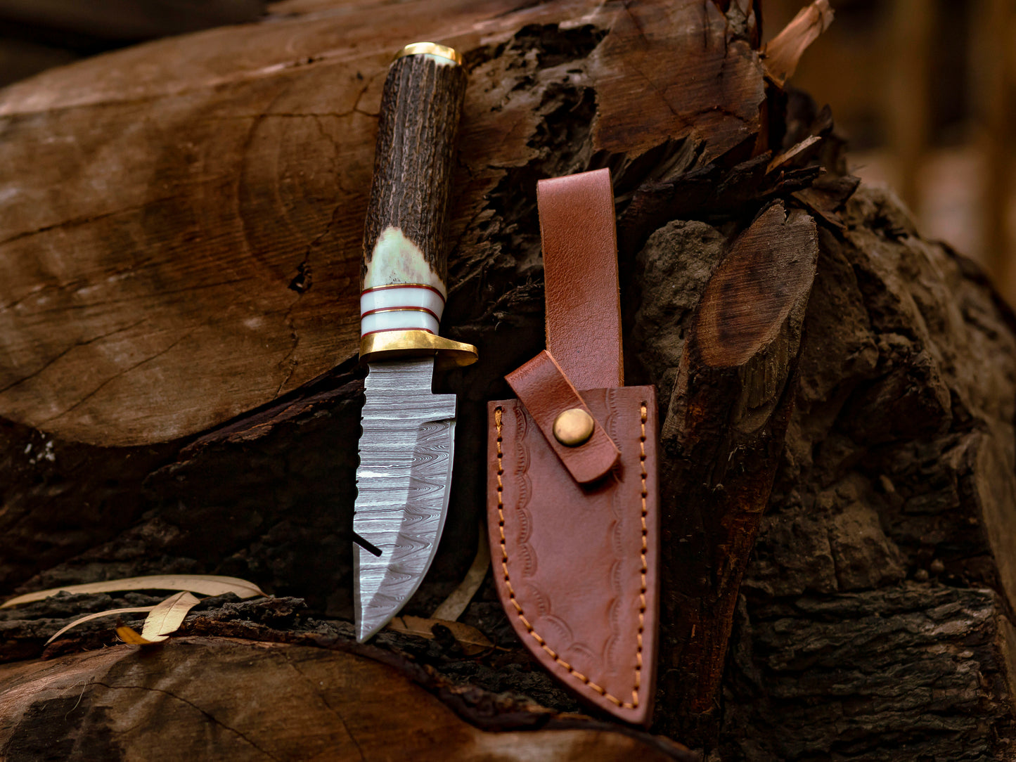 8" Hand forged full tang Damascus Steel Hooked Camping Knife with Stag Horn Handle - Wildland Blades