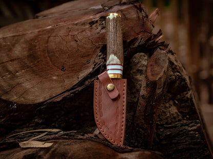 8" Hand forged full tang Damascus Steel Hooked Camping Knife with Stag Horn Handle - Wildland Blades