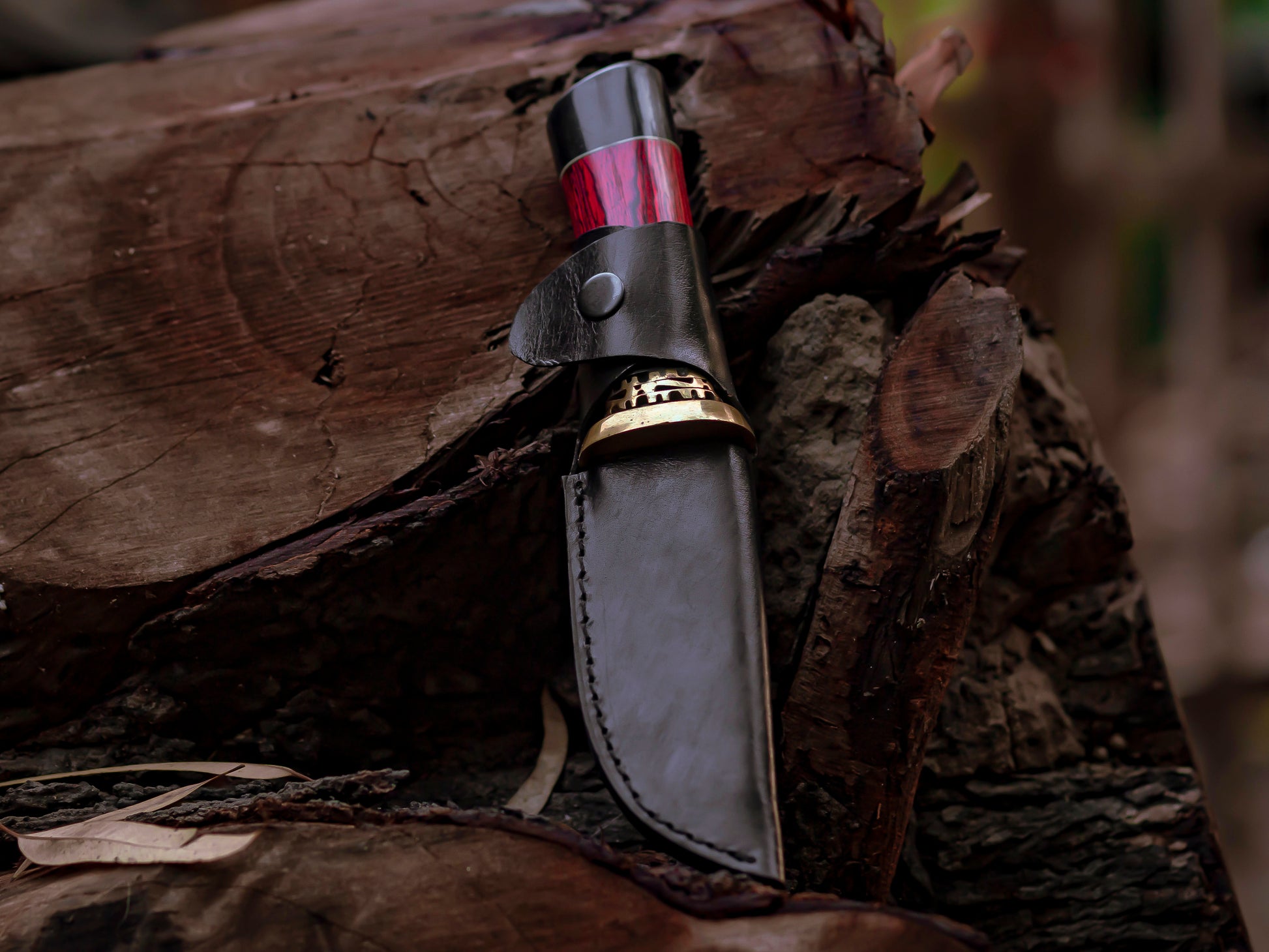 The Red Viper: Damascus Steel Fixed Blade Knife with Ebony and Red Wood Handle - Wildland Blades