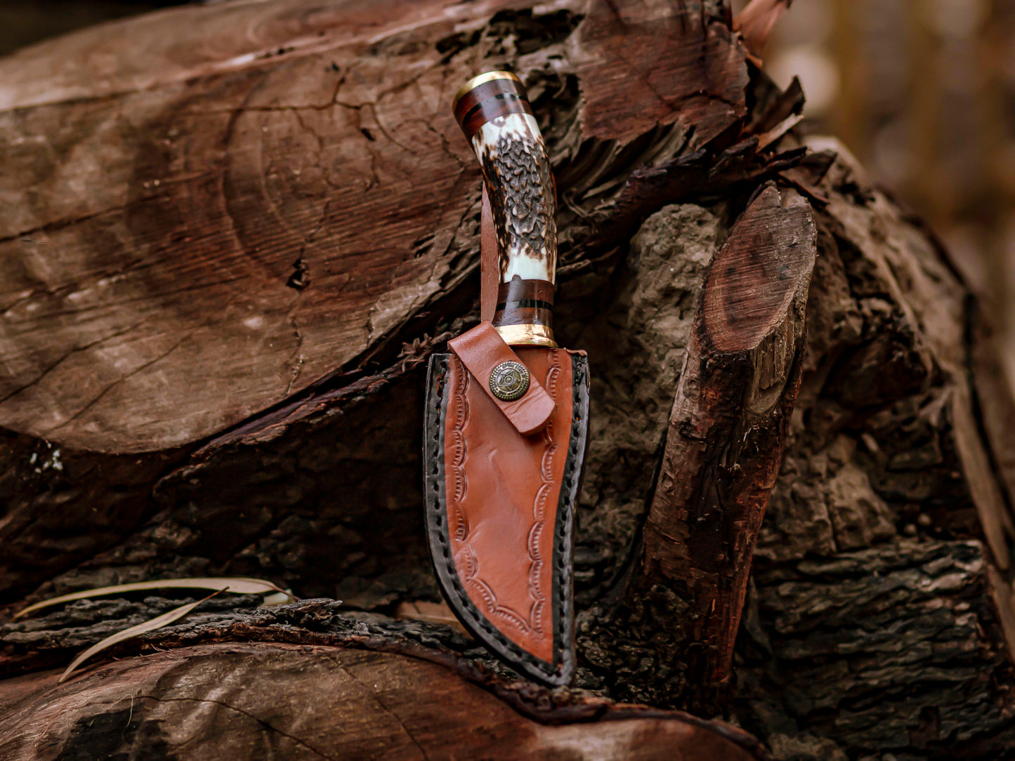 The Antler's Edge: Hand-Forged Damascus Steel Knife with Stag & Brass Guard Handle - Wildland Blades