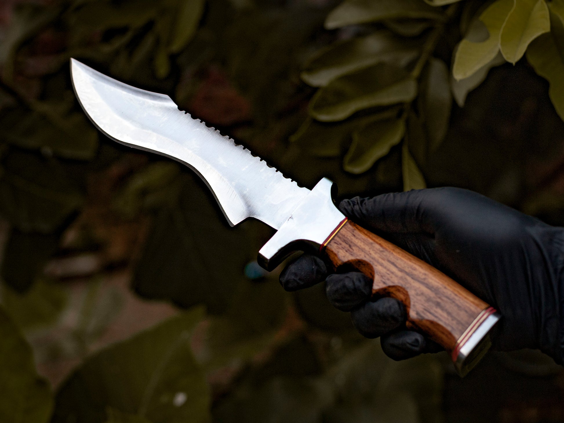 The Wolf’s Claw: D2 Steel Bowie Knife with Sculpted Wood Handle - Wildland Blades