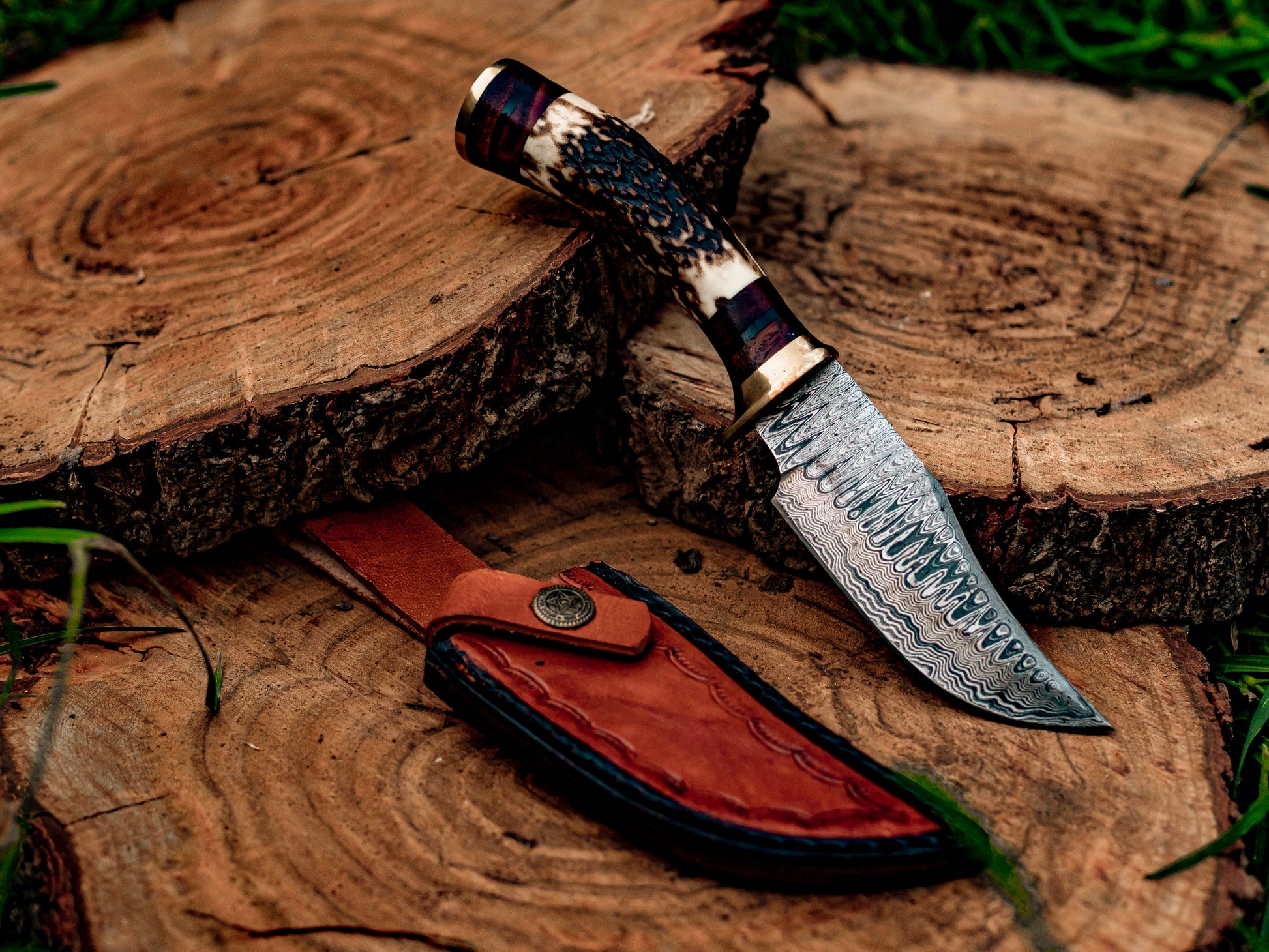 Triad of Wilderness: Hand-Forged Damascus Steel Knives with Stag & Brass Guard Handles - Wildland Blades